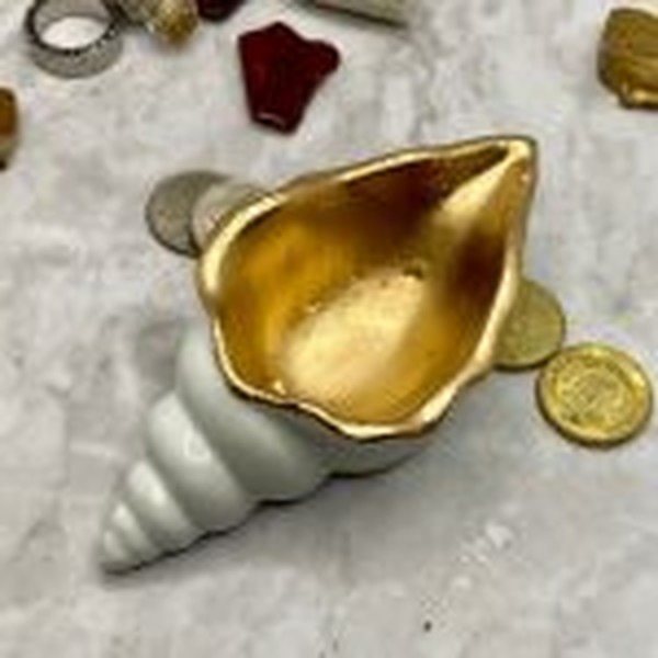 قالب صدف حلزونی