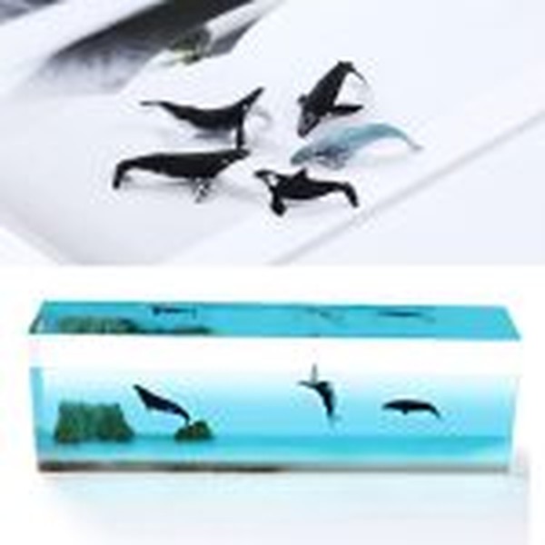 قالب حجمی آکواریومی