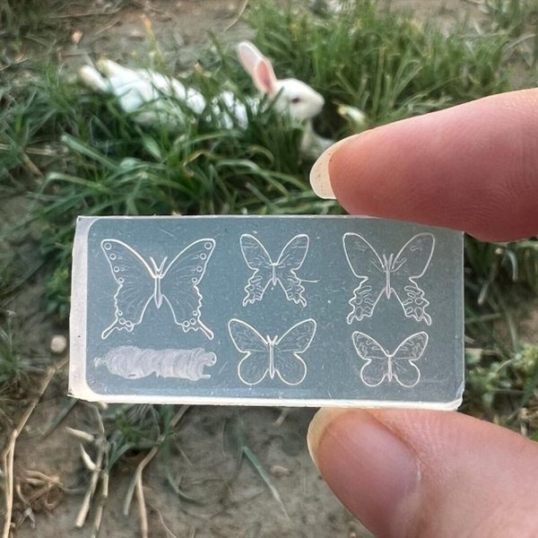 قالب پروانه مینیاتوری