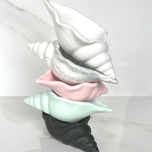 قالب صدف حلزونی