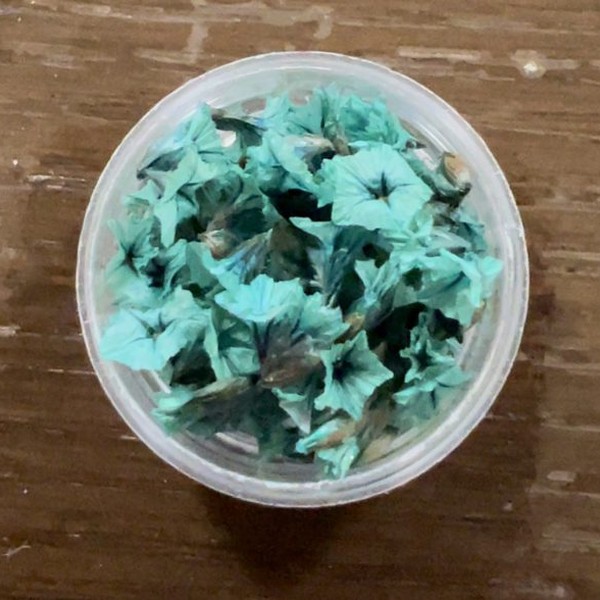 گل خشک شکوفه مینیاتوری