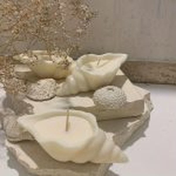 قالب صدف حلزونی