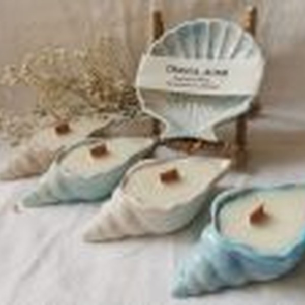 قالب صدف حلزونی