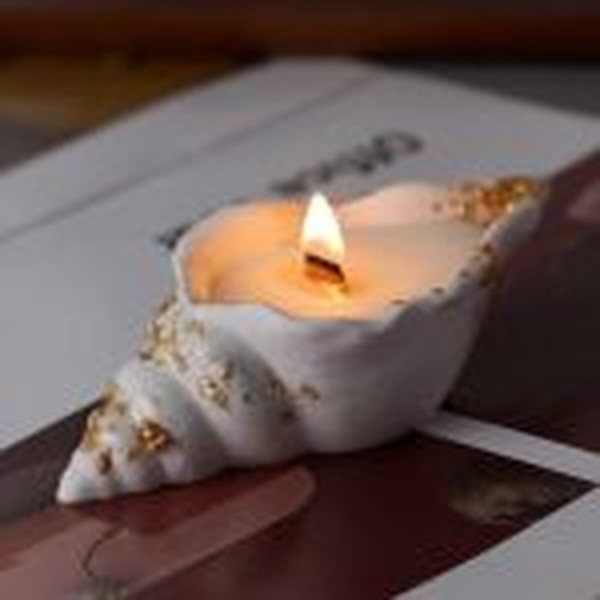 قالب صدف حلزونی