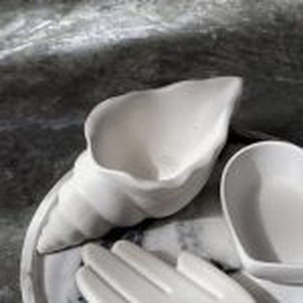 قالب صدف حلزونی