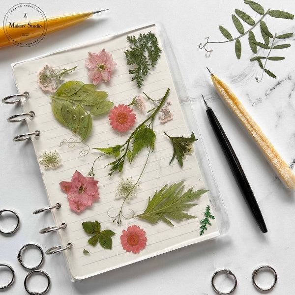 حلقه سه تایی دفتر