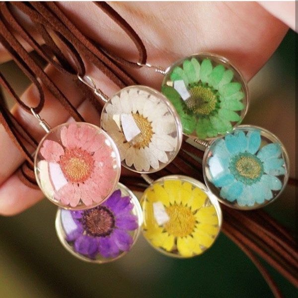 گل خشک بابونه رنگی