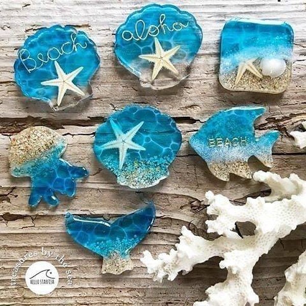 پک ۶ عددی ستاره دریایی طبیعی