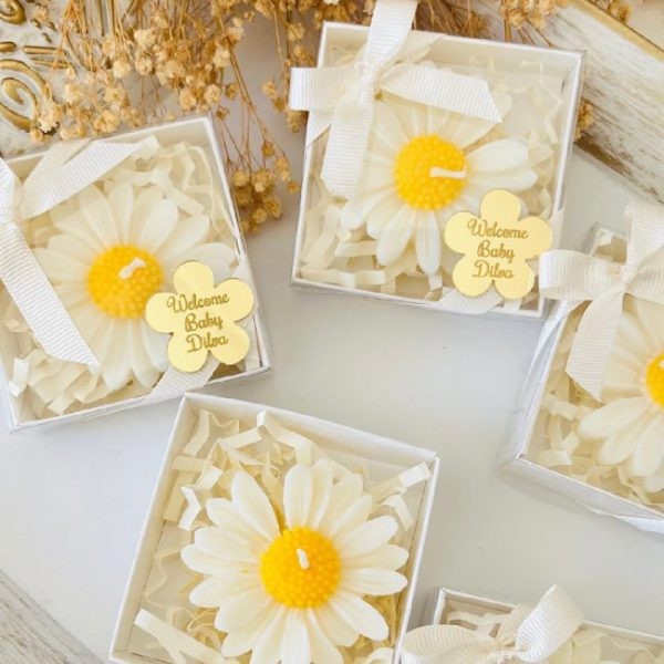 قالب گیفت بابونه