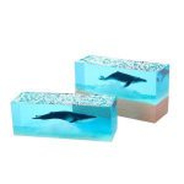 قالب حجمی آکواریومی