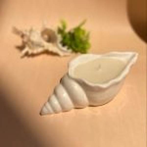 قالب صدف حلزونی