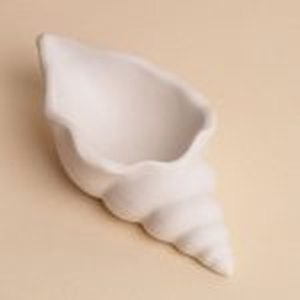 قالب صدف حلزونی