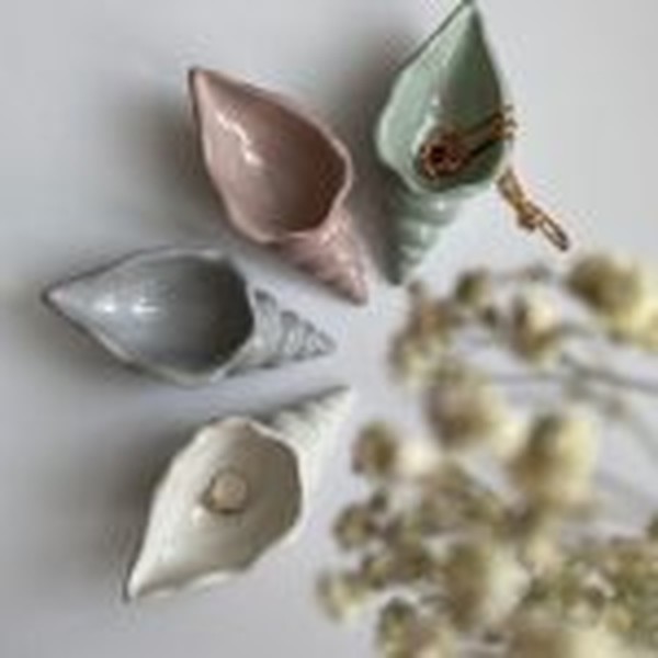 قالب صدف حلزونی