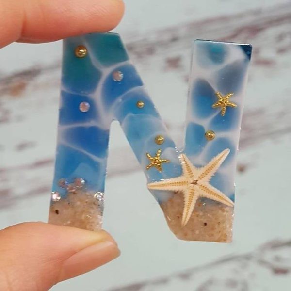 پک ۶ عددی ستاره دریایی طبیعی