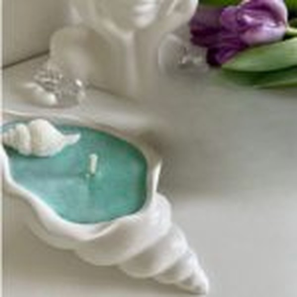 قالب صدف حلزونی