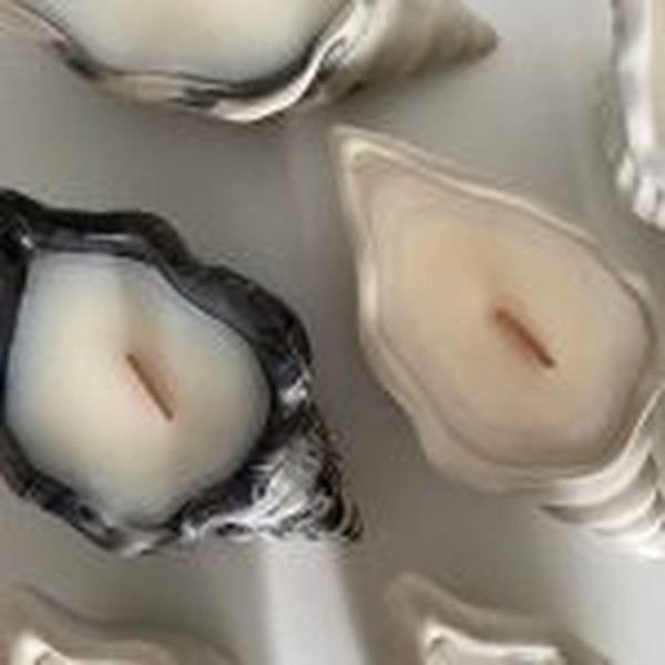 قالب صدف حلزونی