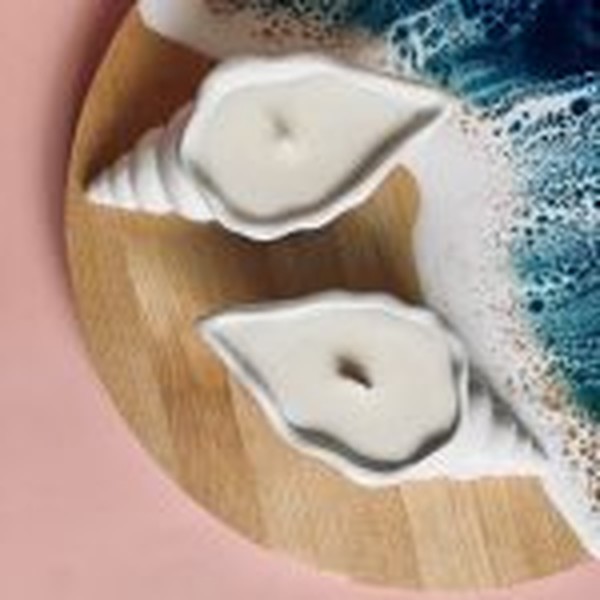 قالب صدف حلزونی