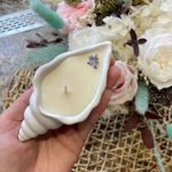 قالب صدف حلزونی