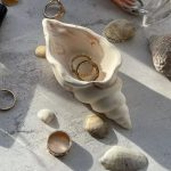 قالب صدف حلزونی