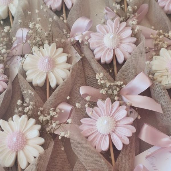 قالب گیفت بابونه