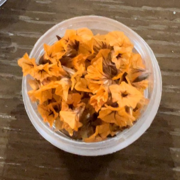 گل خشک شکوفه مینیاتوری