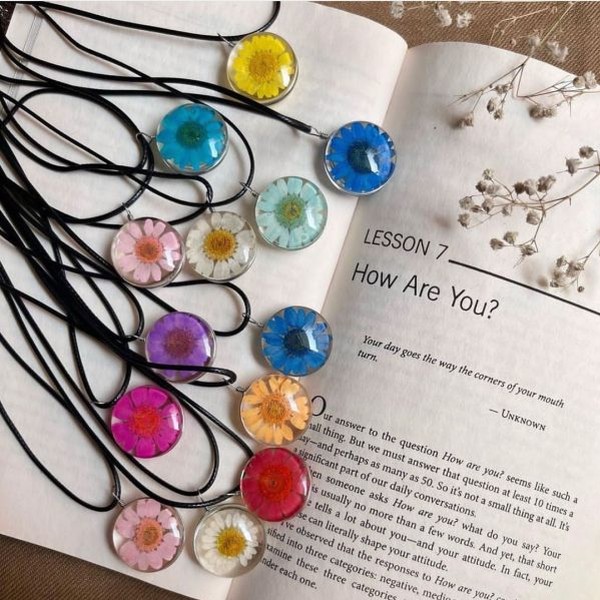 گل خشک بابونه رنگی