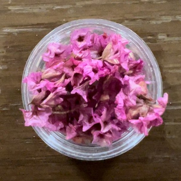 گل خشک شکوفه مینیاتوری