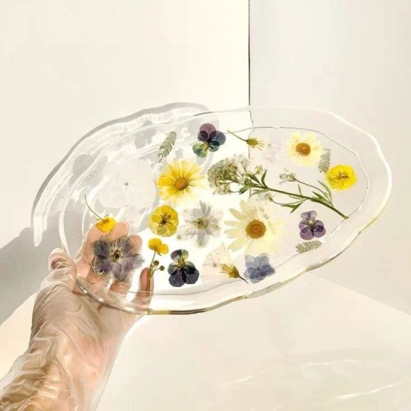 گل خشک بابونه سفید