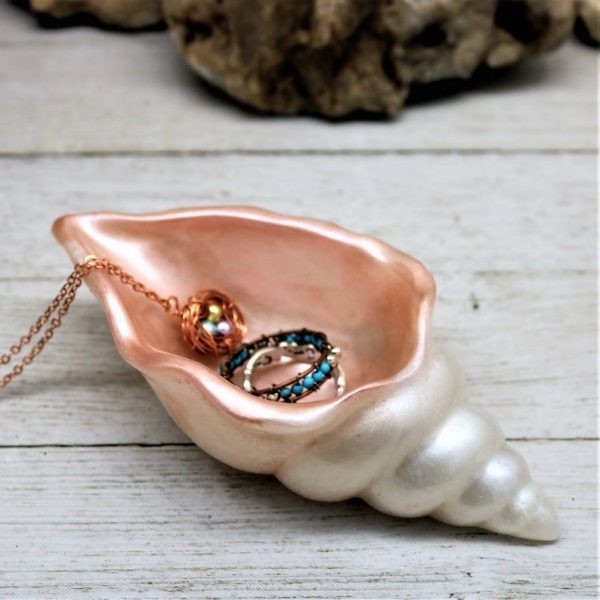 قالب صدف حلزونی