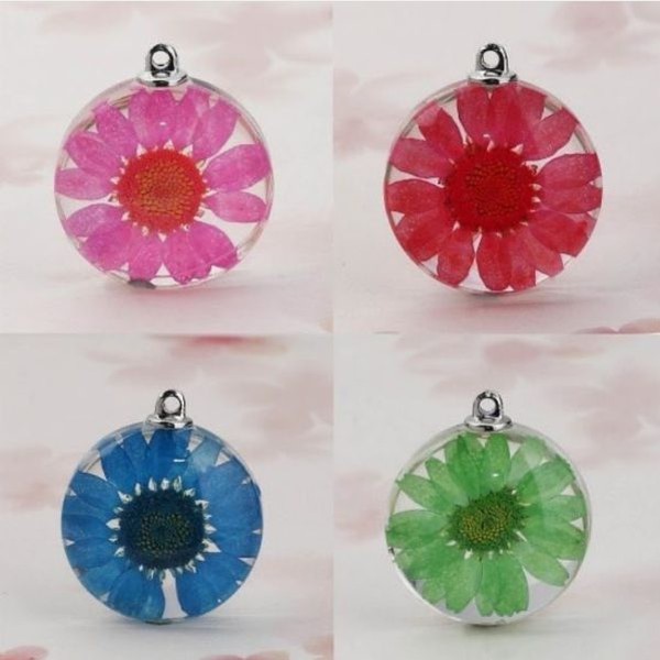 گل خشک بابونه رنگی