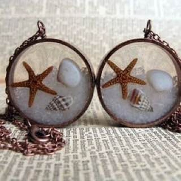 پک ۶ عددی ستاره دریایی طبیعی