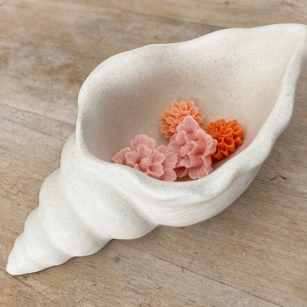 قالب صدف حلزونی