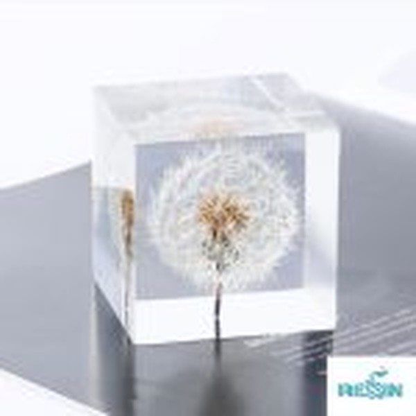 گل خشک قاصدک